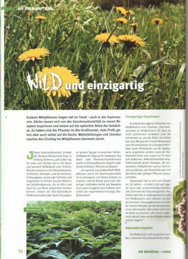 Die bioküche (1.1.2012)